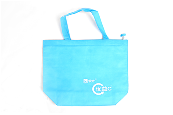 Non-Woven Insulated Cooler Bag