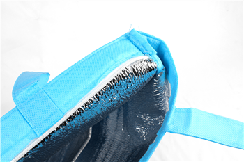 Non-Woven Insulated Cooler Bag