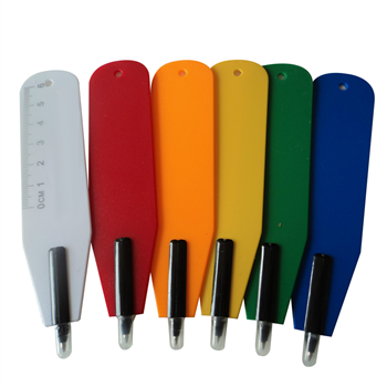 2-in-1 Ruler Ballpoint Pen