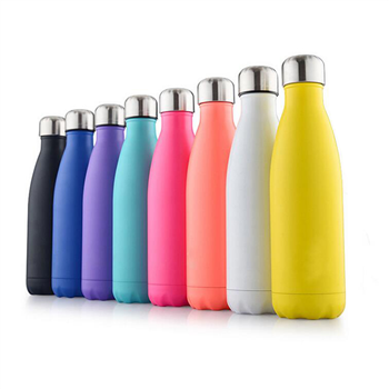 17oz Stainless Steel Insulated Bottle