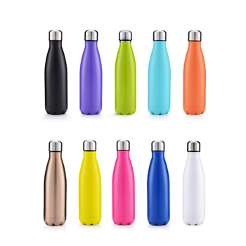 17oz Stainless Steel Insulated Bottle