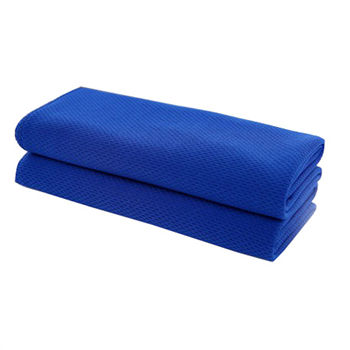 Quick-Dry Cooling Sports Towel