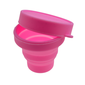 Collapsible TPE Pet Bowl with Lid