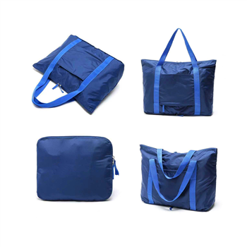 Foldable Travel Boarding Tote