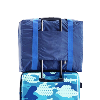 Foldable Travel Boarding Tote