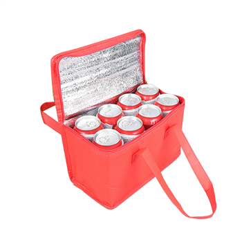 Non-Woven Cooler Bag