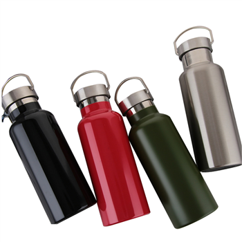 Stainless Steel Water Bottle