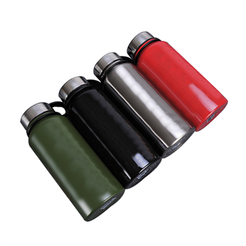 Double Wall Stainless Steel Water Bottle