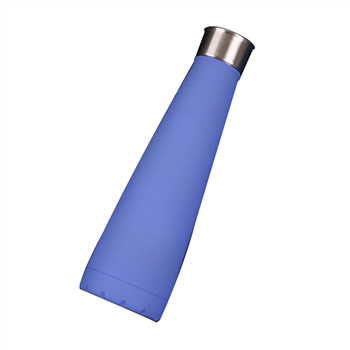 Stainless Steel Insulated Water Bottle