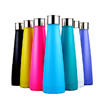Stainless Steel Insulated Water Bottle