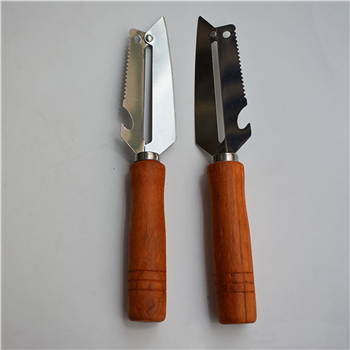 Stainless Steel Kitchen Peeler