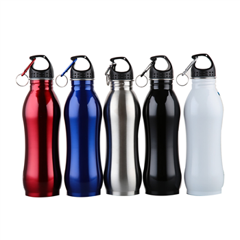 Stainless Steel Sports Water Bottle