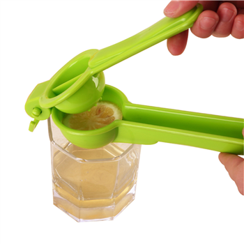 Simple PP Lemon Squeezer