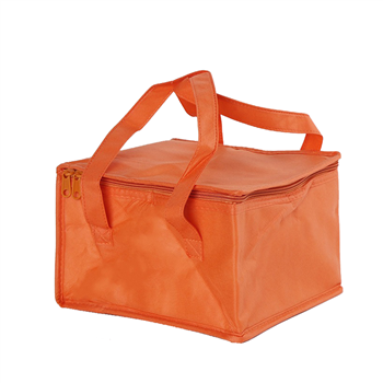 Non-Woven Cooler Bag