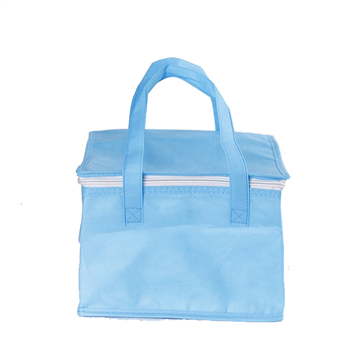 Non-Woven Cooler Bag