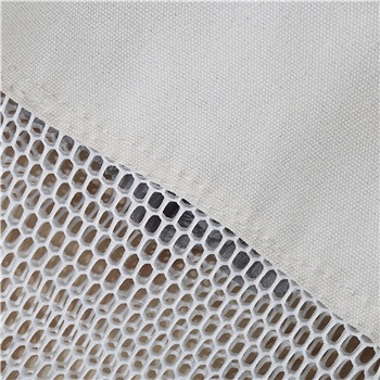 Fashion Mesh Canvas Tote Bag