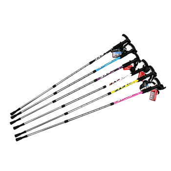 Trekking Pole