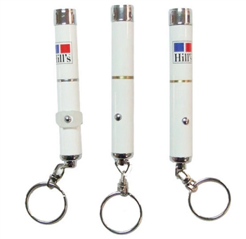 Custom Logo Projector Keychain