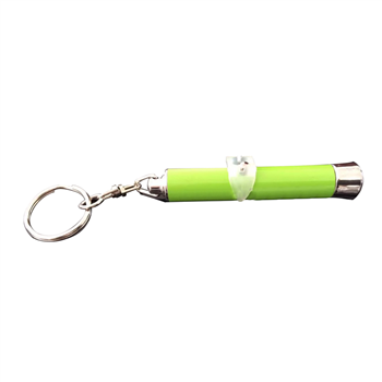 Custom Logo Projector Keychain
