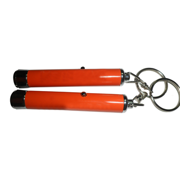 Custom Logo Projector Keychain