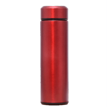 Stainless Steel Vacuum Insulated Bottle