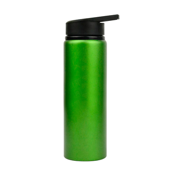 Aluminum Water Bottle with Straw & Handle
