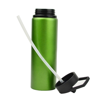 Aluminum Water Bottle with Straw & Handle