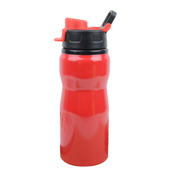 Aluminum Water Bottle with Handle
