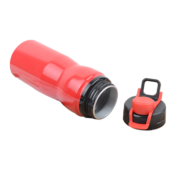 Aluminum Water Bottle with Handle