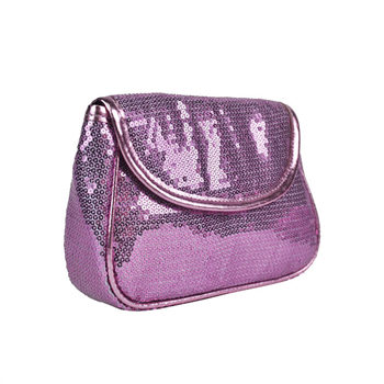 Dazzle Metallic Cosmetic Bag