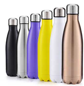 17oz Stainless Steel Double Wall Water Bottle