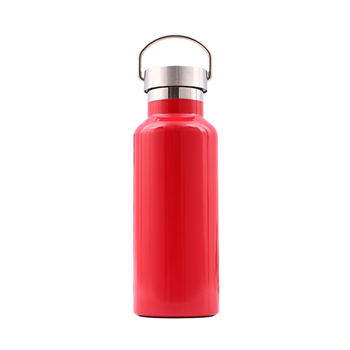 17oz Stainless Steel Double Wall Thermos Bottle