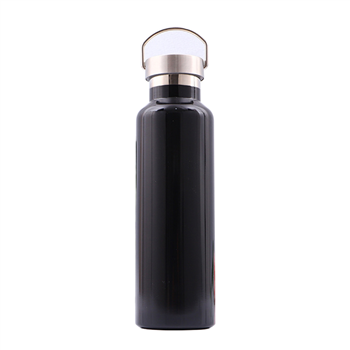 20oz Stainless Steel Double Wall Thermos Bottle