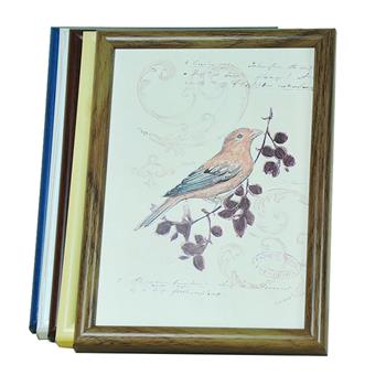 Custom 8" x 6" Plastic Picture Frame