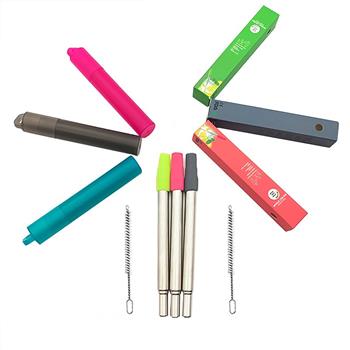 Metal Reusable Collapsible Straw Kit