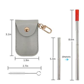 Reusable Stainless Straw with PU Case and Keychain