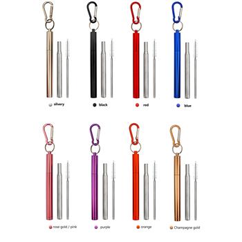 Metal Reusable Collapsible Straw Kit with Carabiner