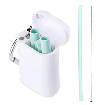 Pocket Silicone Straw Kit with Carabiner