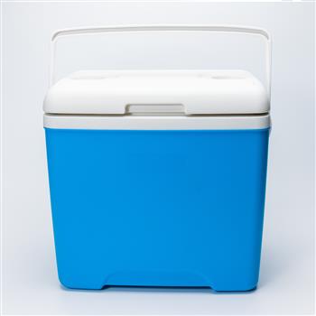 28L Insulated Hard Cooler with Handle