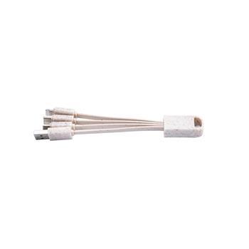 Eco 4-in-1 Charging Cable with Keychain
