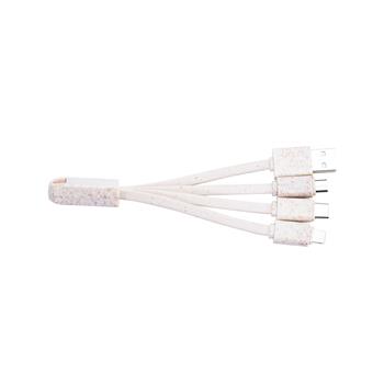 Eco 4-in-1 Charging Cable with Keychain