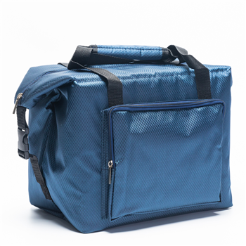 Large Deluxe Insulated Cooler Tote