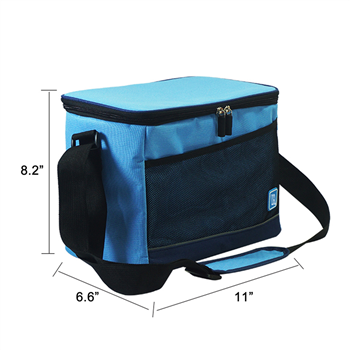 12-Can Insulated Cooler Bag with Mesh Pocket