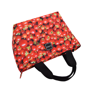 Canvas Cooler Tote Bag
