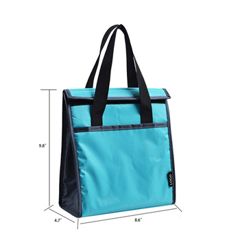 Portable Insulated Tote Cooler Bag