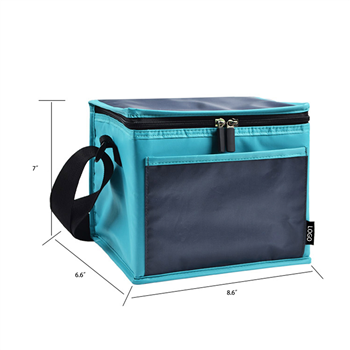 Dual-Tone Insulated Cooler Bag
