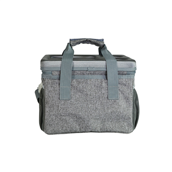 Dual-Handle Insulated Cooler Bag