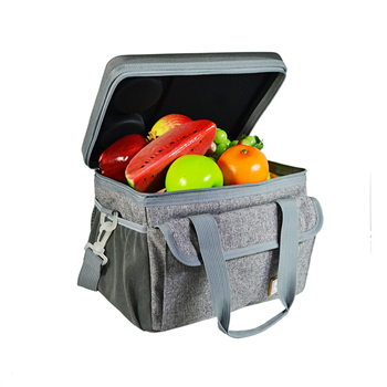 Dual-Handle Insulated Cooler Bag