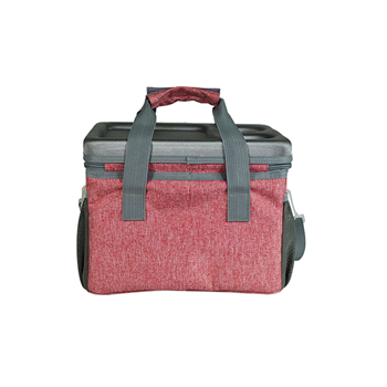 Dual-Handle Insulated Cooler Bag