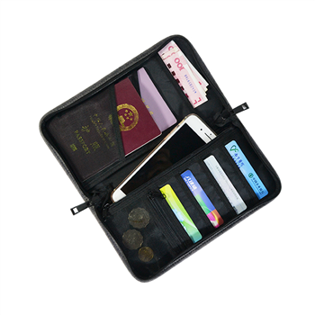 Multi-Compartment Travel Document Organizer